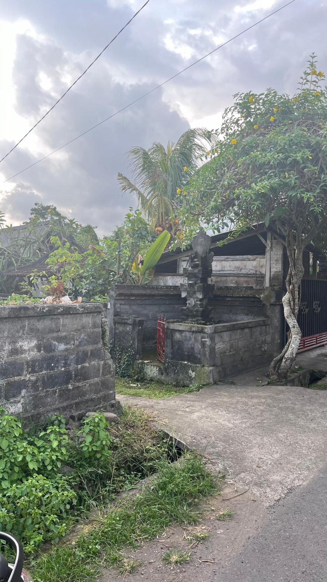 Gasthof Bali Asli By Eps