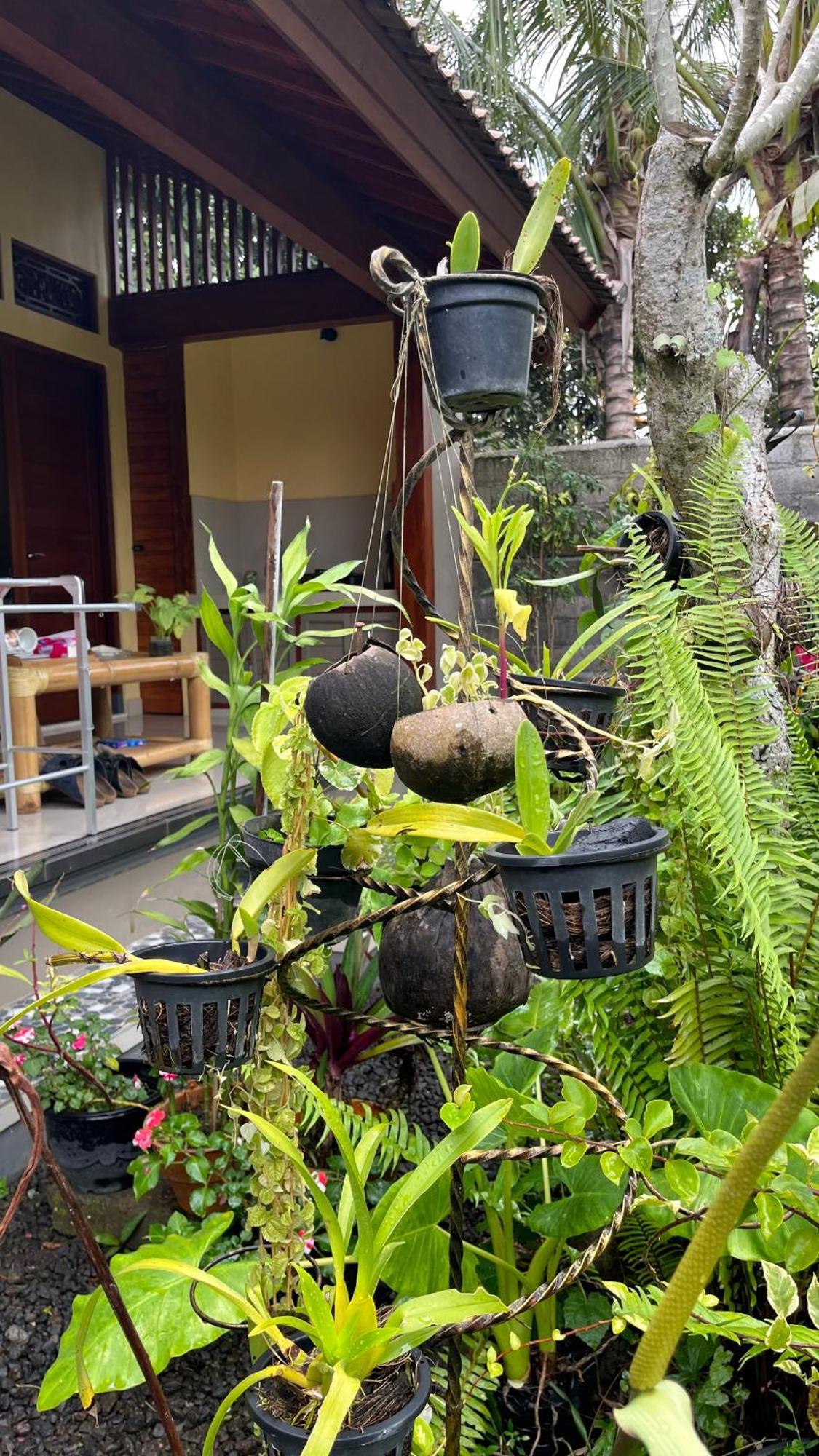 Bali Asli By Eps Gasthof Ubud