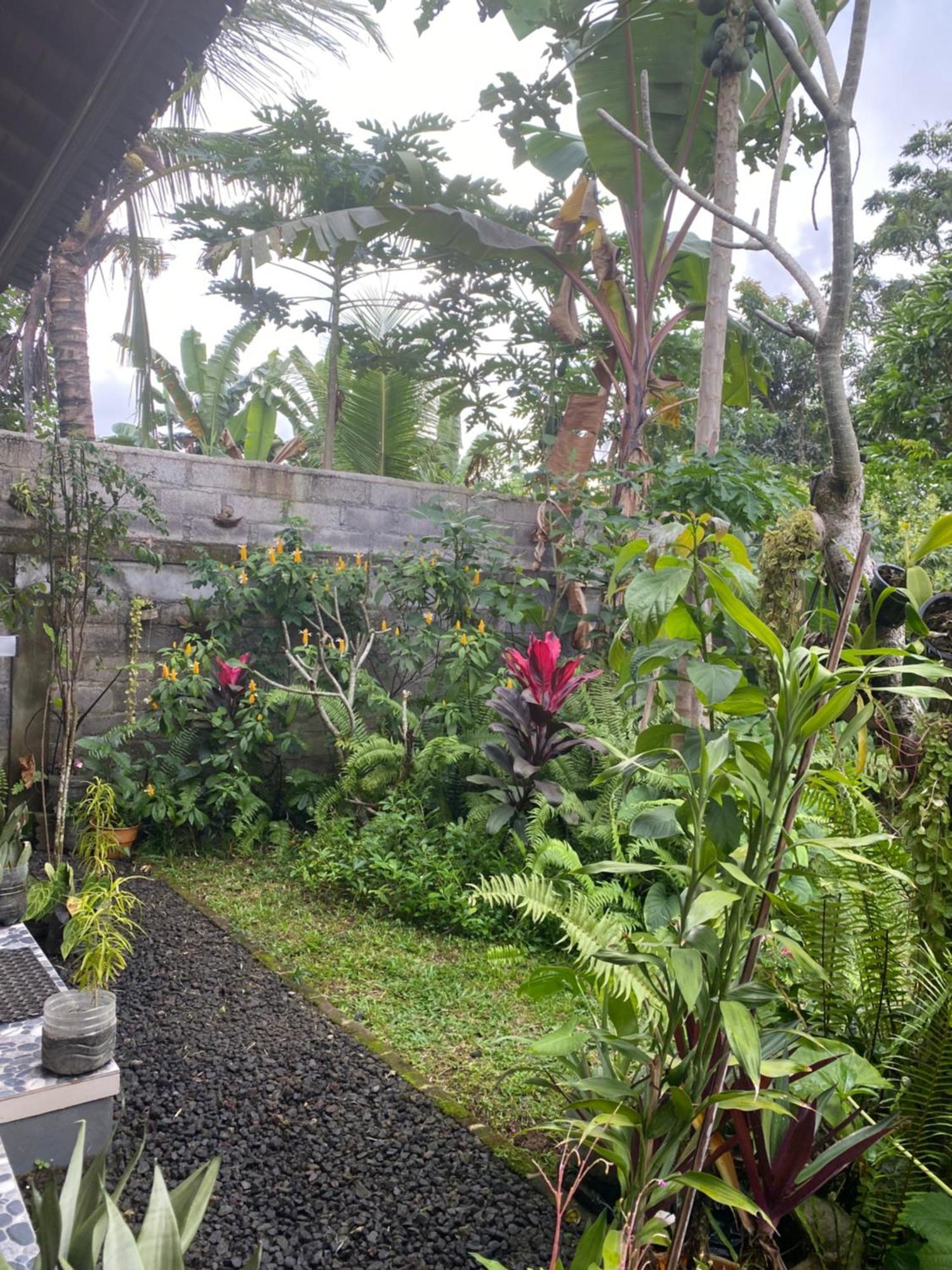 Gasthof Bali Asli By Eps 3*